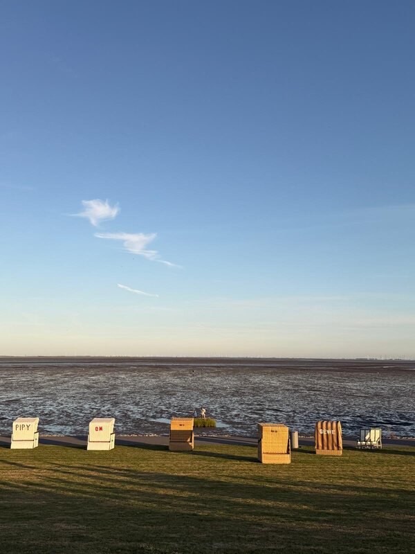 Strandkörbe am Deich im warmen Licht der Abendsonne