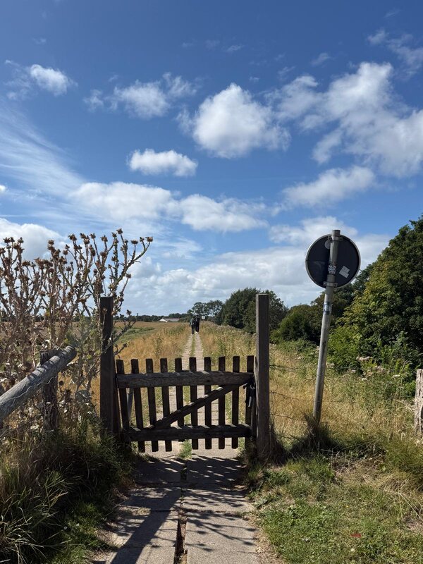 Holztor am Deichweg, dahinter Wiesen und blauer Himmel mit Wolken