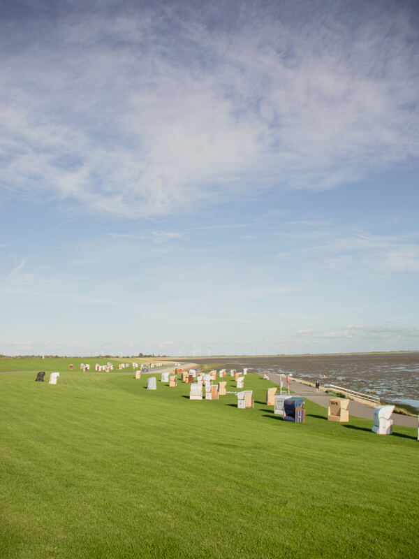 Viele Strandkörbe auf der weiten Deichwiese unter blauem Himmel