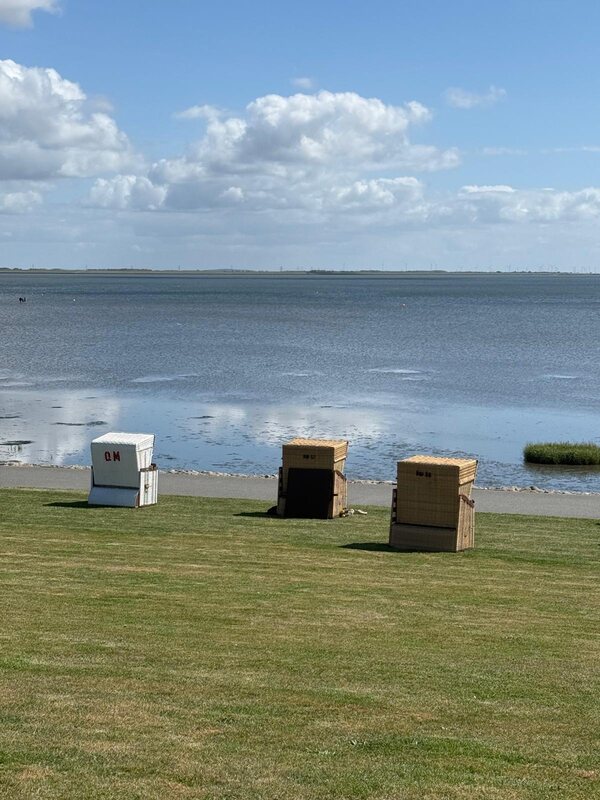 Strandkörbe auf der Wiese am Deich, davor die Nordsee bei Flut